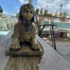 Cat - Image 2
